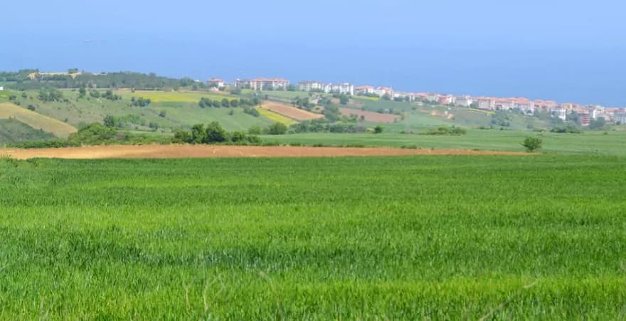 Arsa, Tarla ve İş Yeri Satışlarında Tüm Zamanların Rekoru Kırıldı