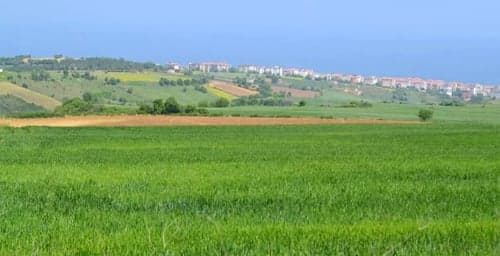 Arsa, Tarla ve İş Yeri Satışlarında Tüm Zamanların Rekoru Kırıldı